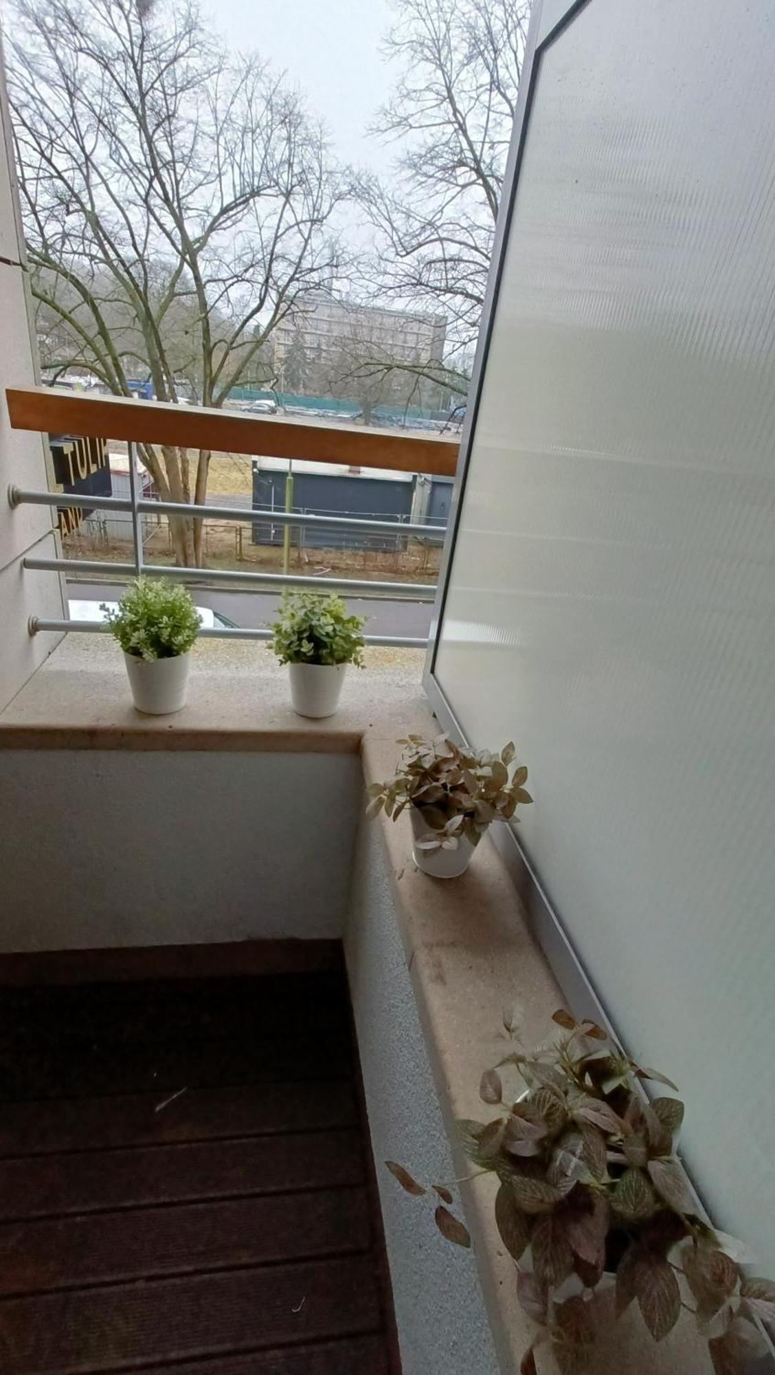 120 W 5 Gwiazdowym Royal Tulip Sand 200 M Od Plazy Dobruk Apartamenty Kołobrzeg Esterno foto
